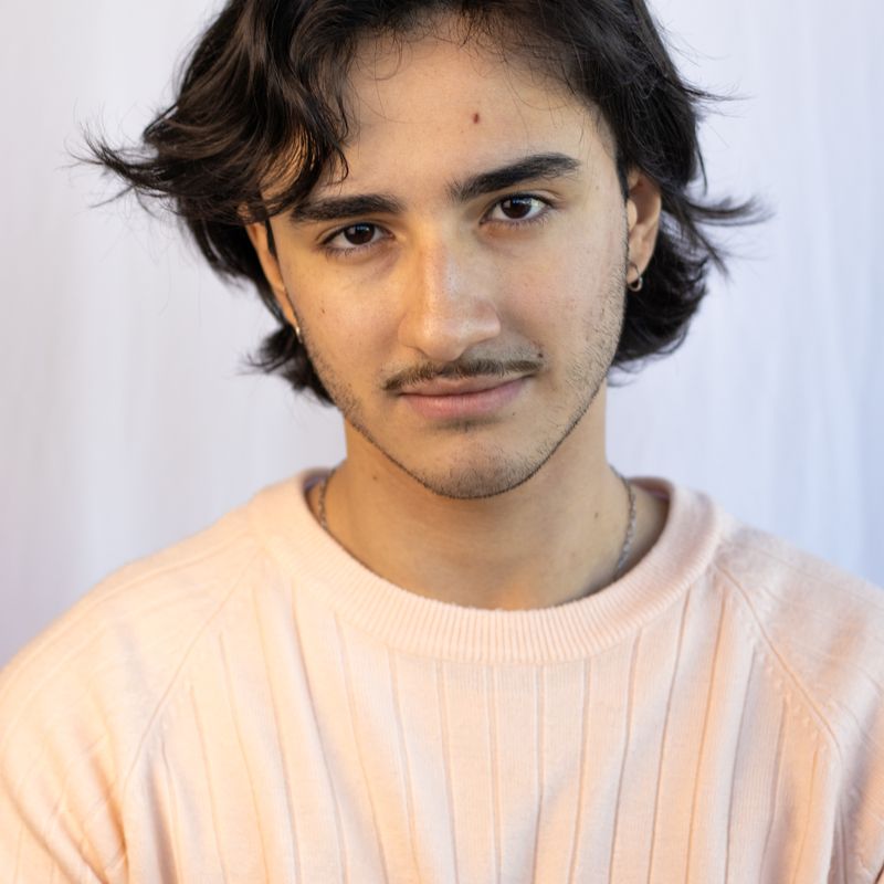 Pedro Guerini picture