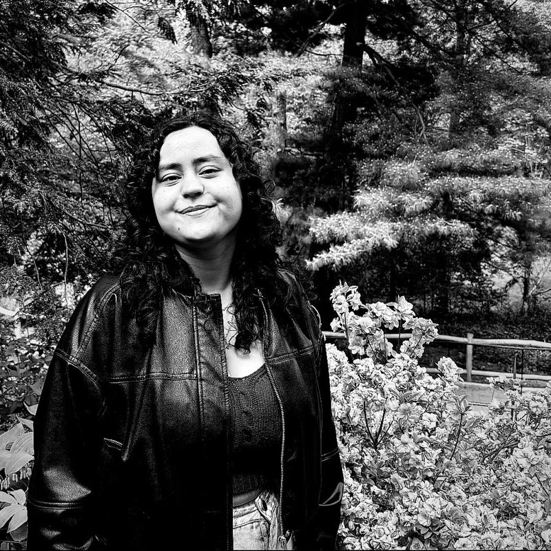 Manuella Medeiros picture