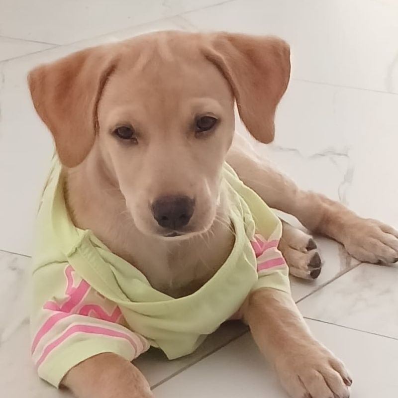 Itana Neri picture
