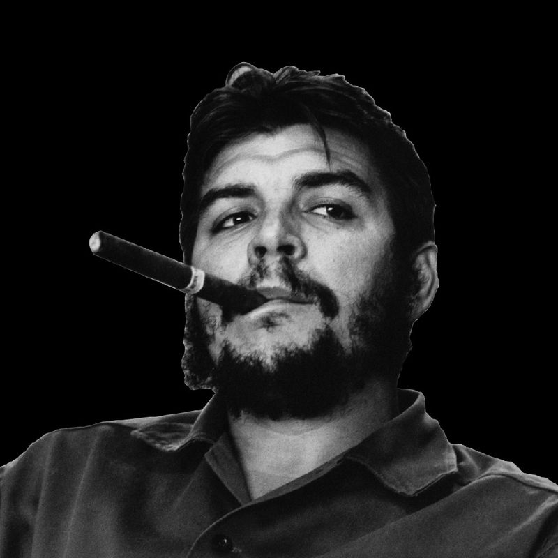 Ernesto Guevara de la Serna picture