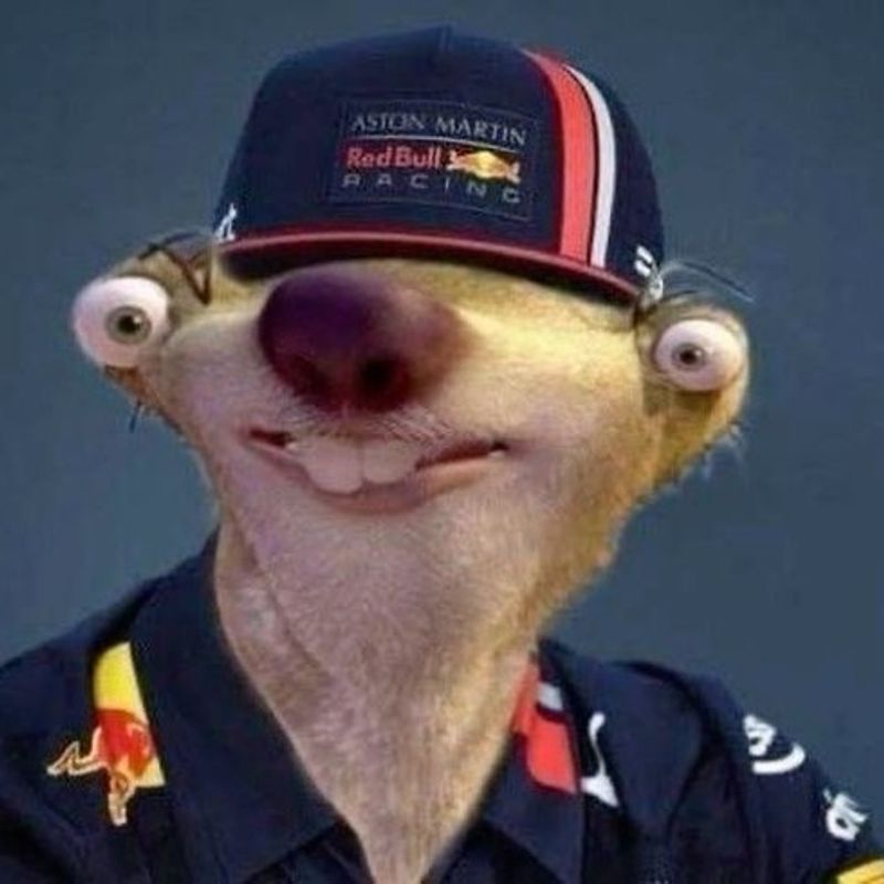 Igor Cremonez picture