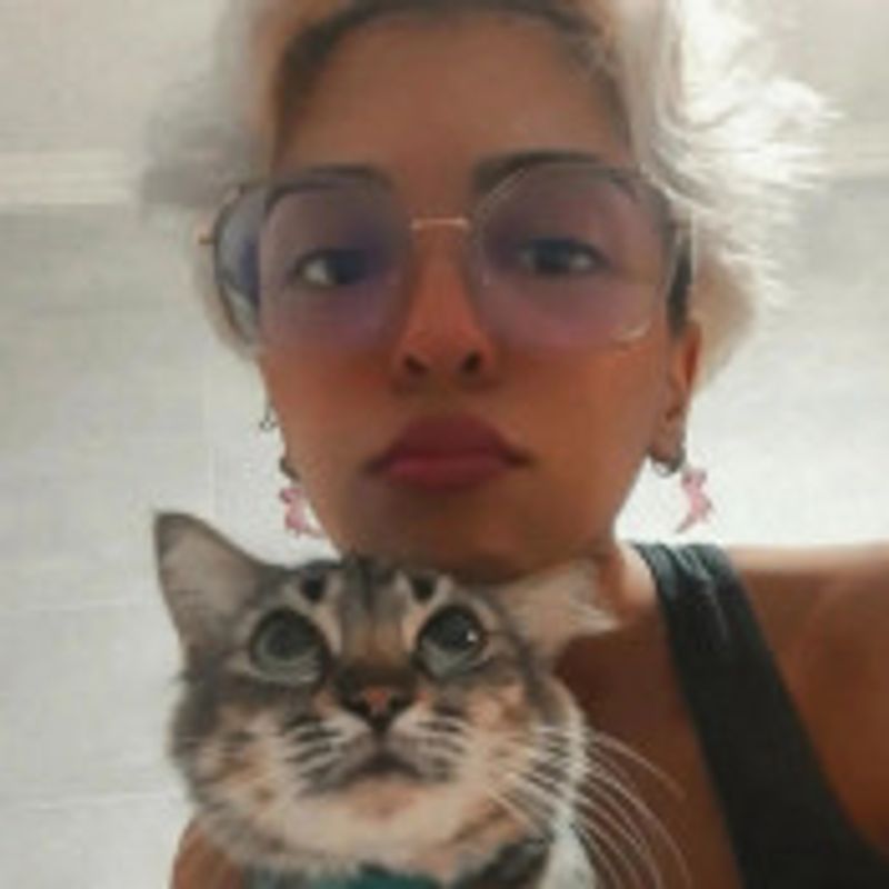 Letícia Leite picture
