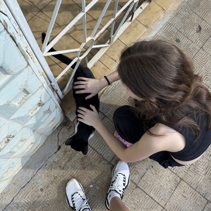 Júlia Godoi picture