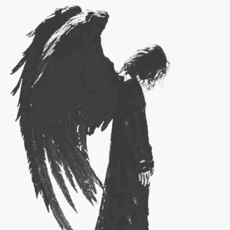 Anjo de Pedra picture