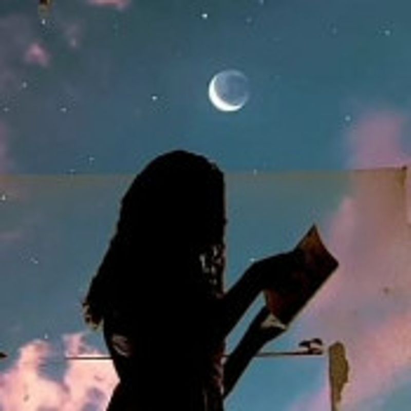 Elaseseusromances picture
