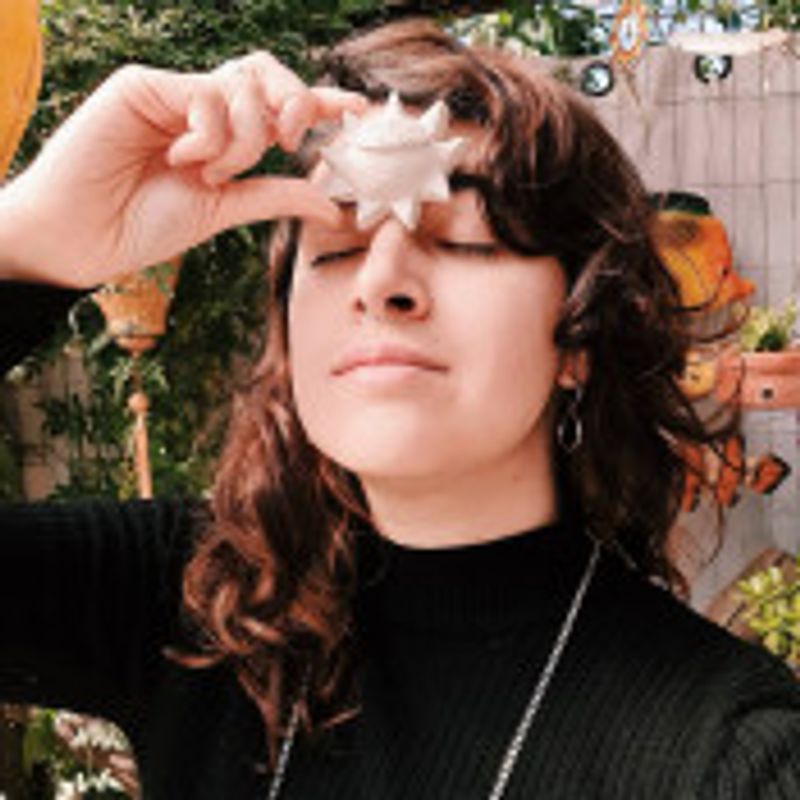 Isadora Brum picture