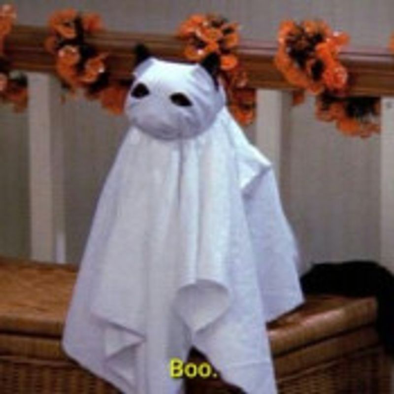 Bruna Favoratto picture
