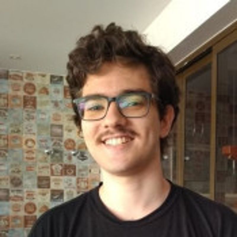 Pedro Henrique Santarosa Quiste Leão picture