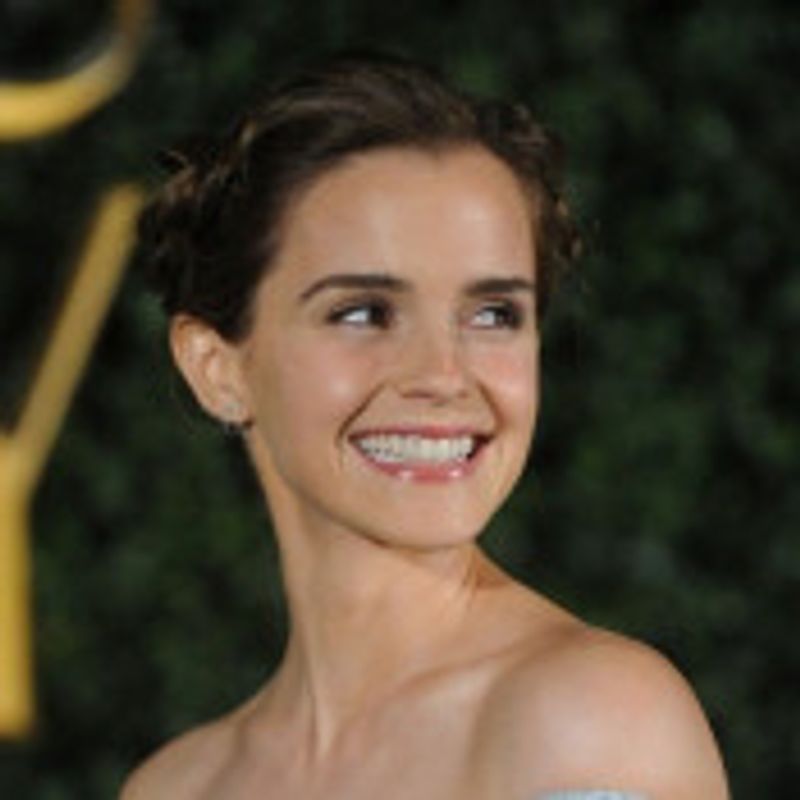 Luisa Landim picture