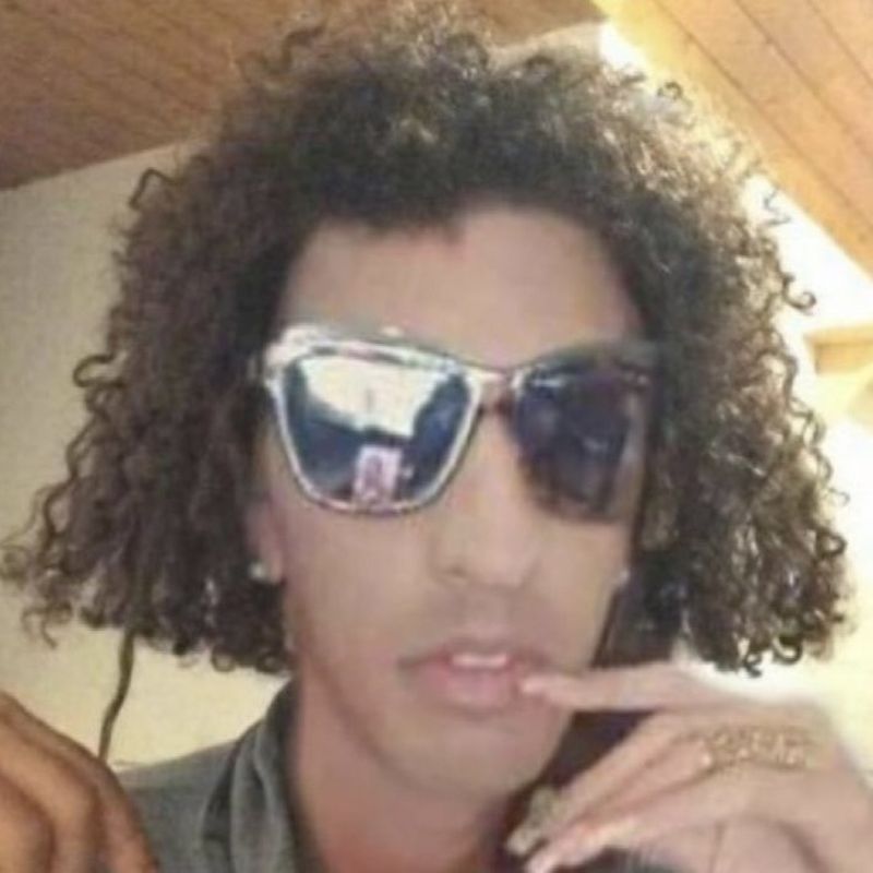 joolivis picture