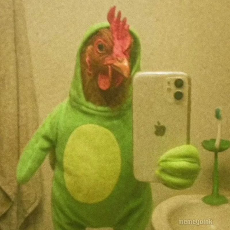 Chisko Com picture