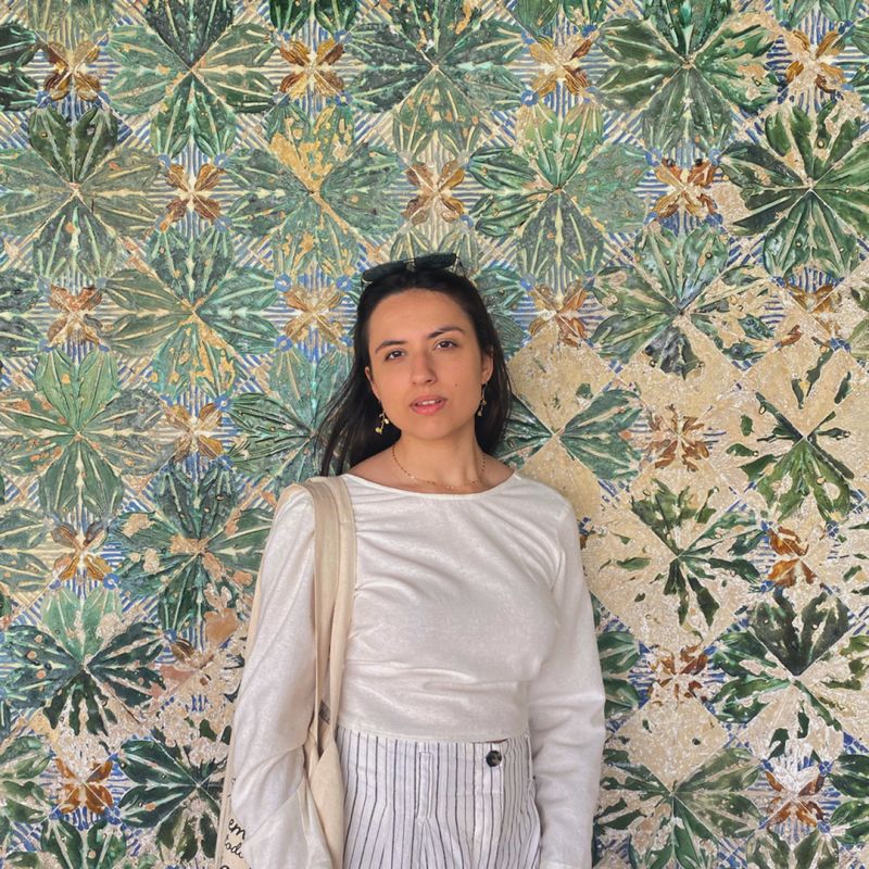Rebeca Lourenço picture