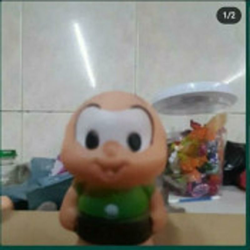 Cebola leitora picture