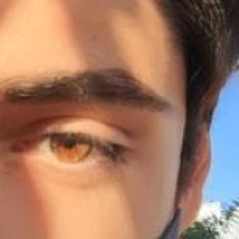 Lucas Melo picture