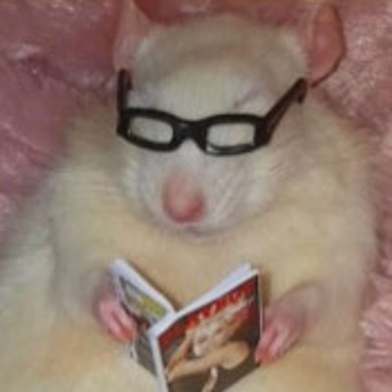 Giovana picture