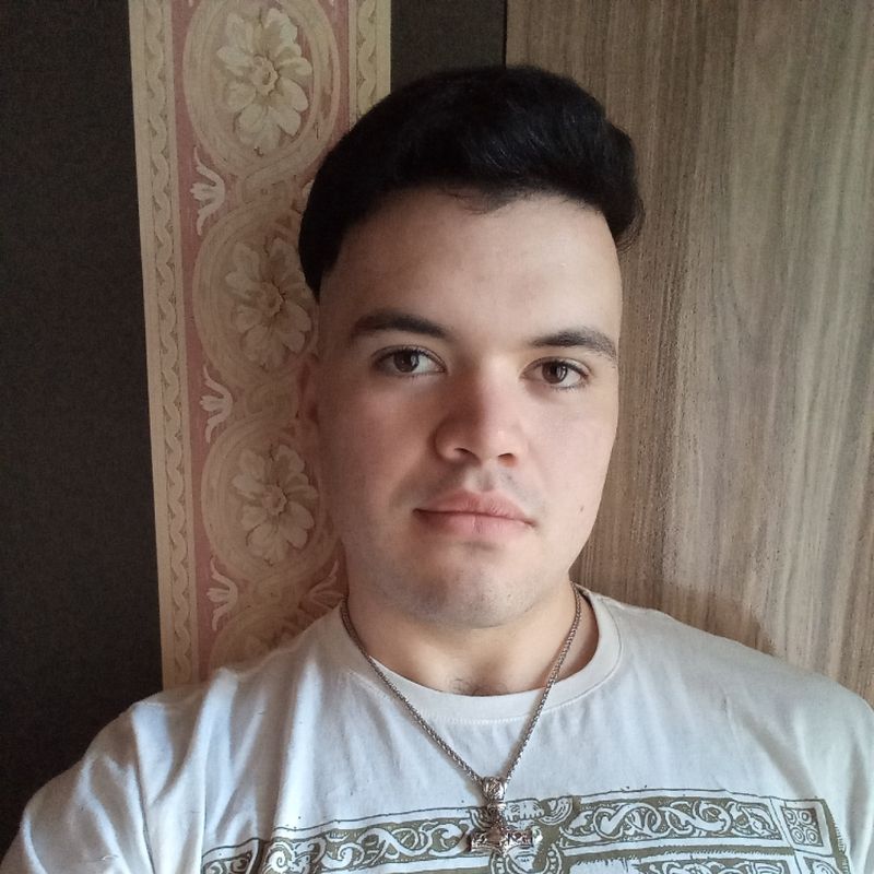 Pedro Henrique Mendes picture