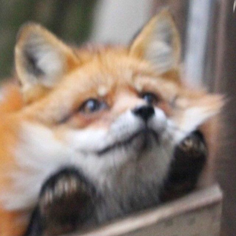 manu ð¦ xavier picture