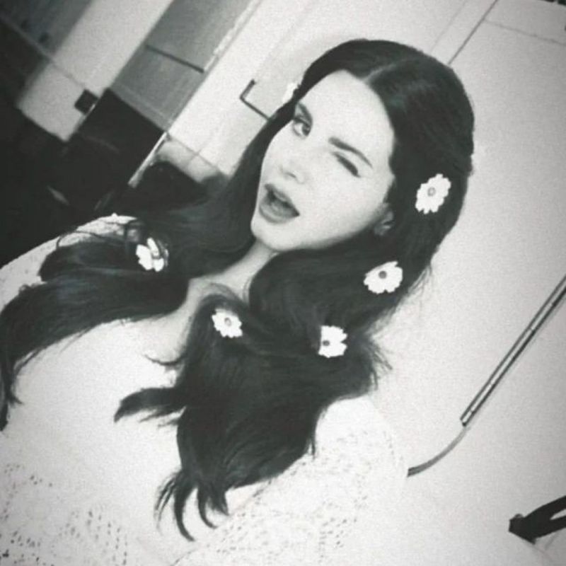 stephany picture