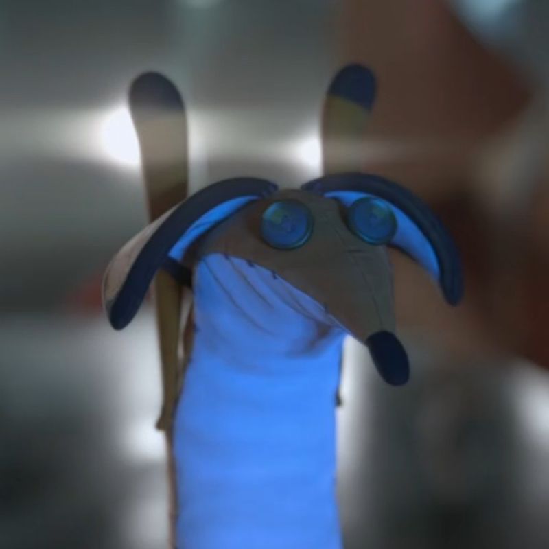 xelaoloc picture