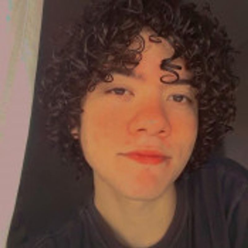 João Vitor picture