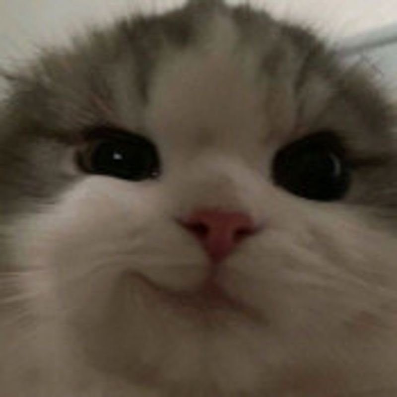 Kira picture