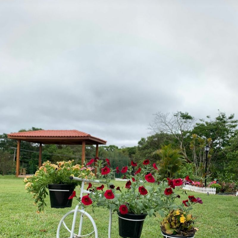 Neia Viana picture