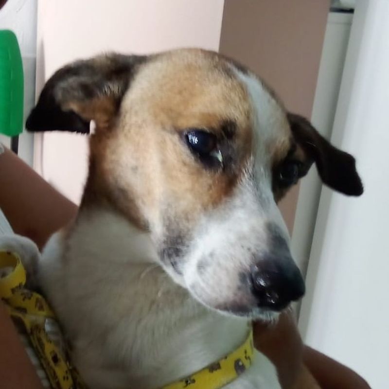 Letícia picture