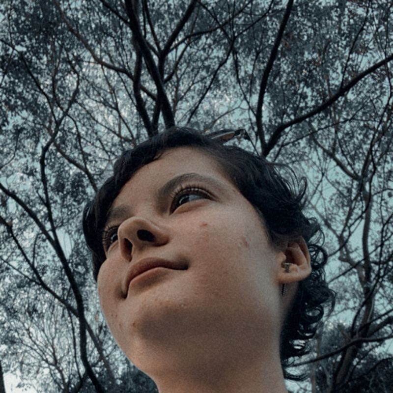 Luana Cristiny picture