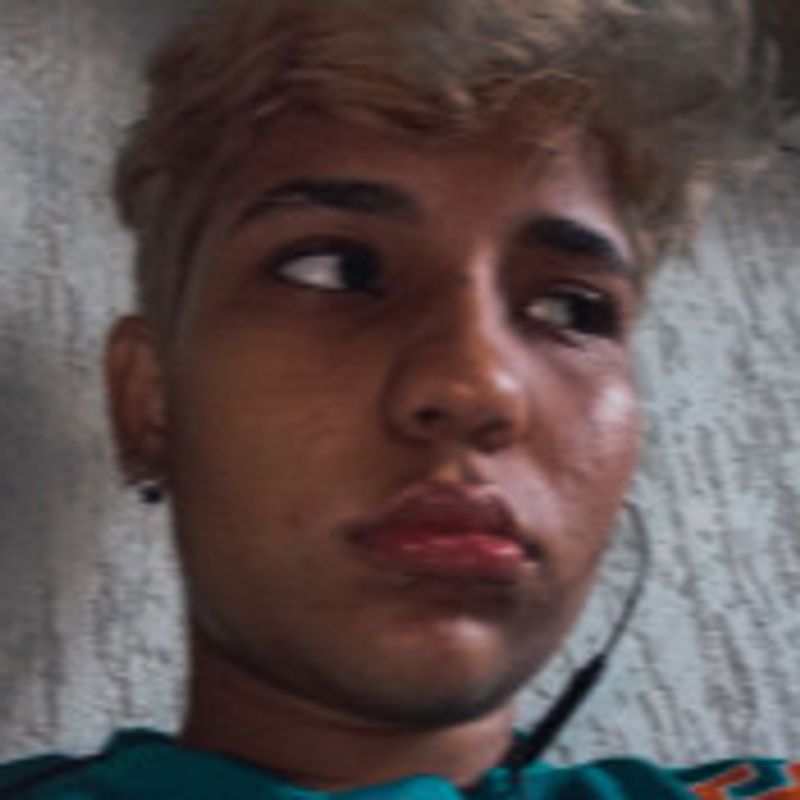 Maria Eduarda Mendes picture