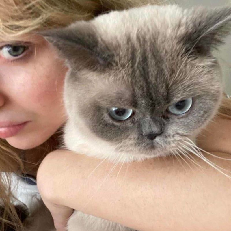 ana carol picture
