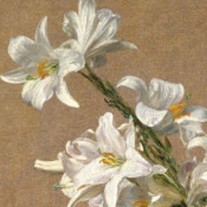Beatryce Paes picture
