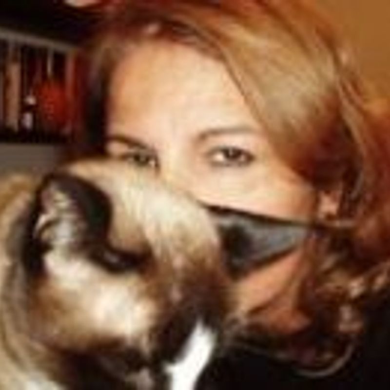 Maria Teresa Costa picture