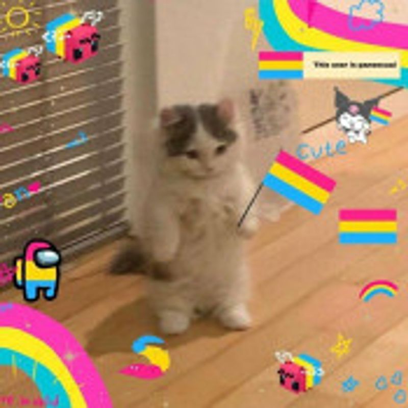 g l l e n d a picture