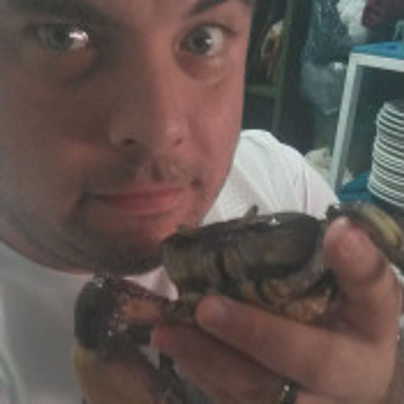 Rafael Nogueira picture