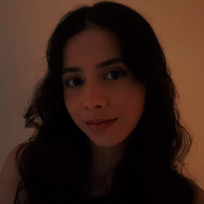 laís tavares picture