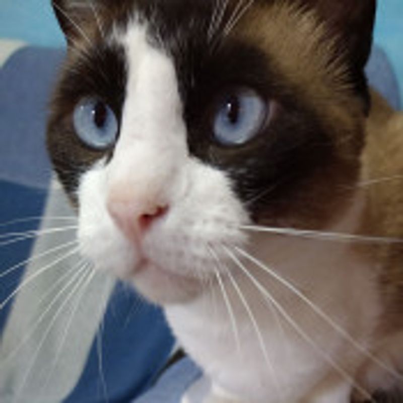 Lua S. picture