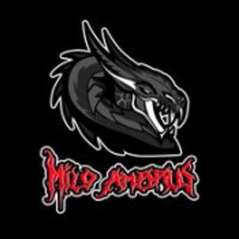 Milo Ambrus picture