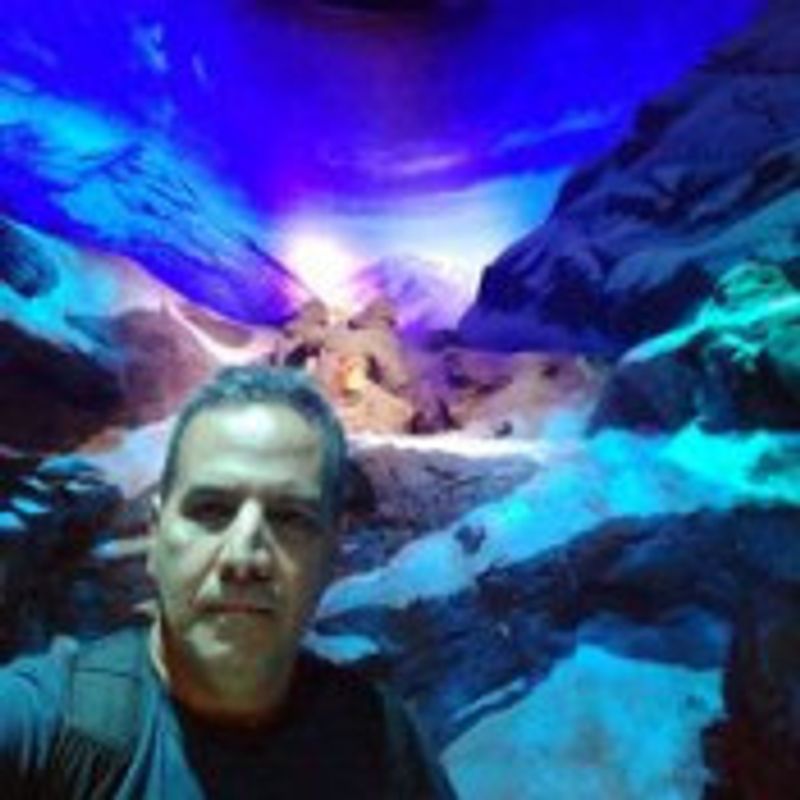 Marcelo Pacheco picture