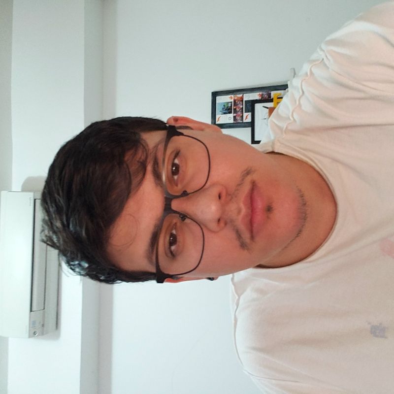 Leandro Brandão Marques picture