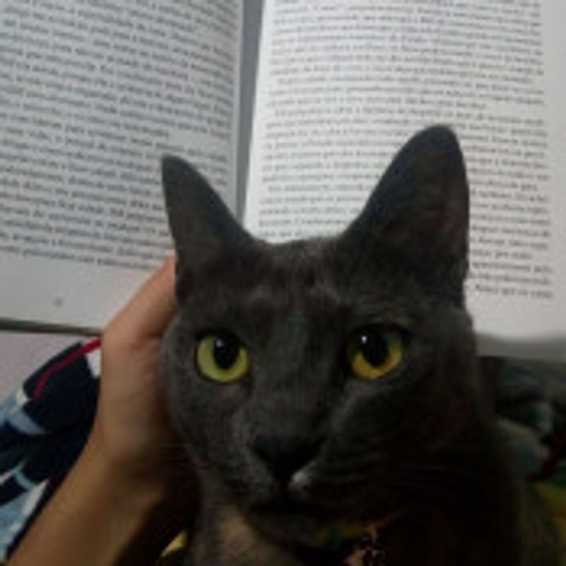 Roberta picture