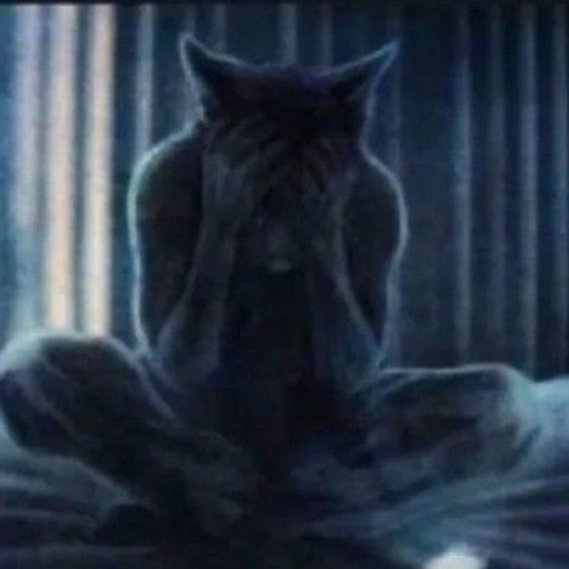 Miau ? picture