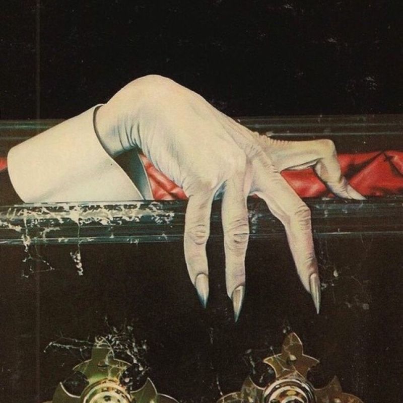 Pedro Rossiter picture