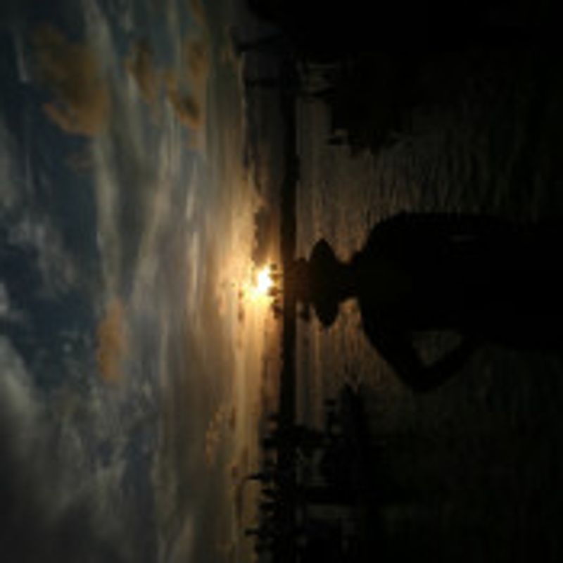 Bruna picture