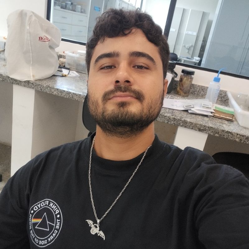 Gabriel Souza picture