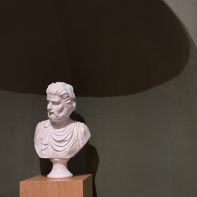 Bia Gonçalves picture