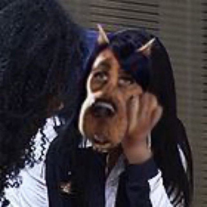 Alexia Rodrigues picture