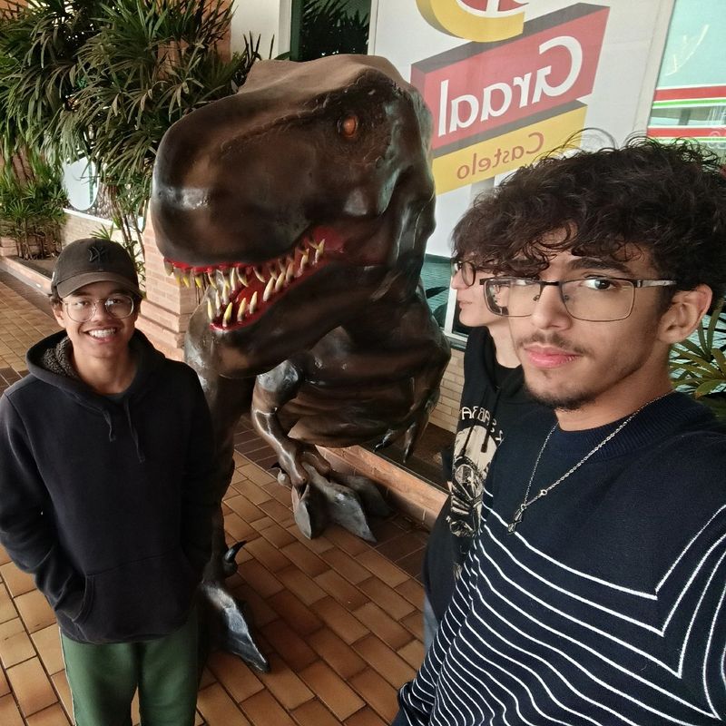 leonardo picture