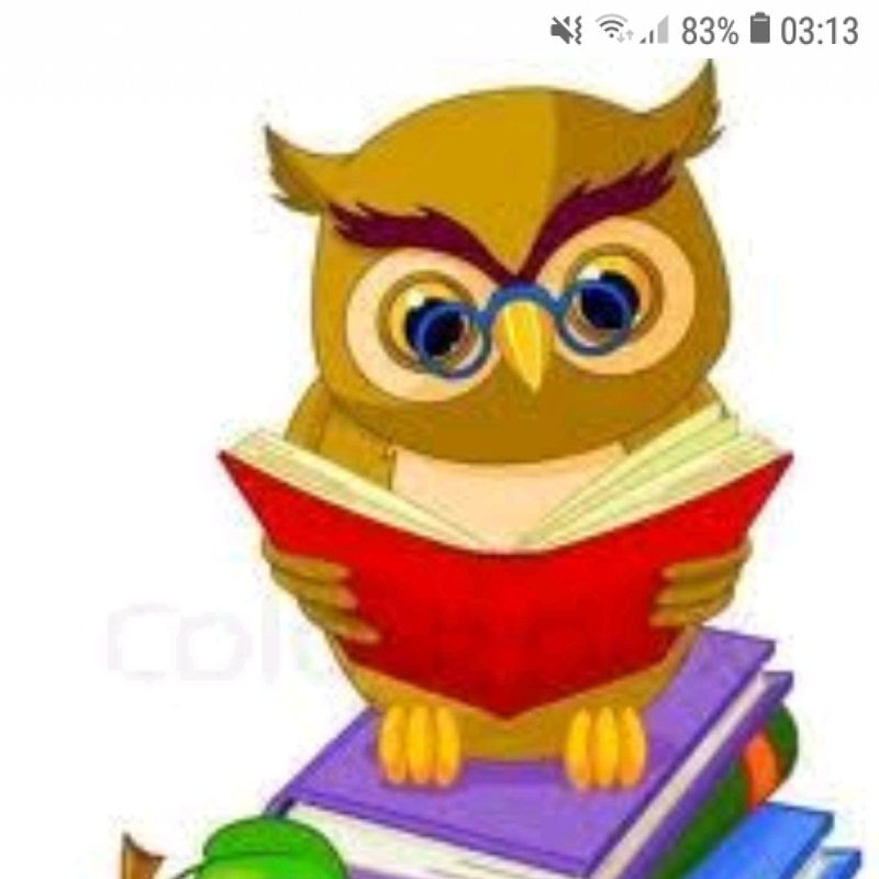 Little Owl Shelf picture
