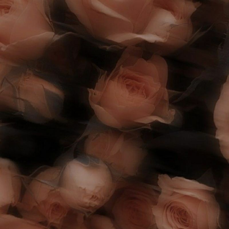 Isabely Marques  picture
