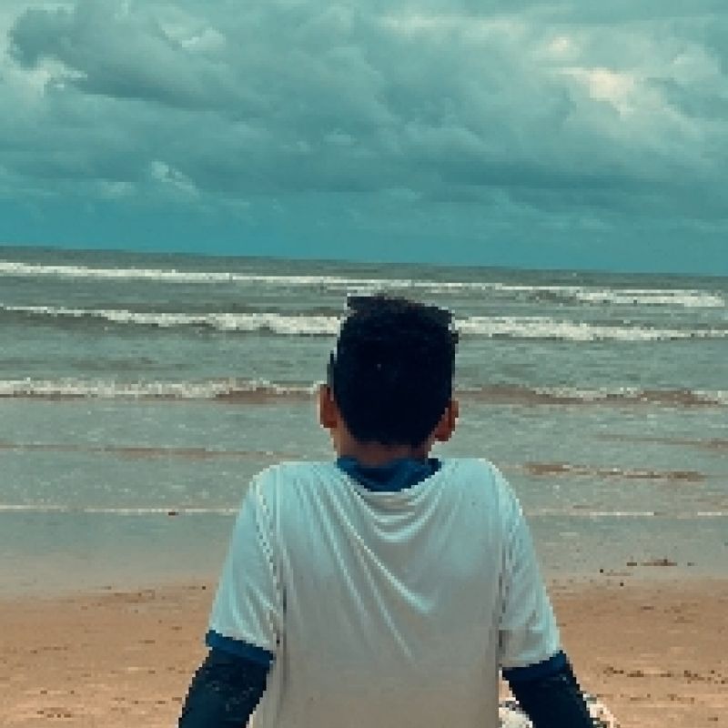 Gabriel Gomes  picture